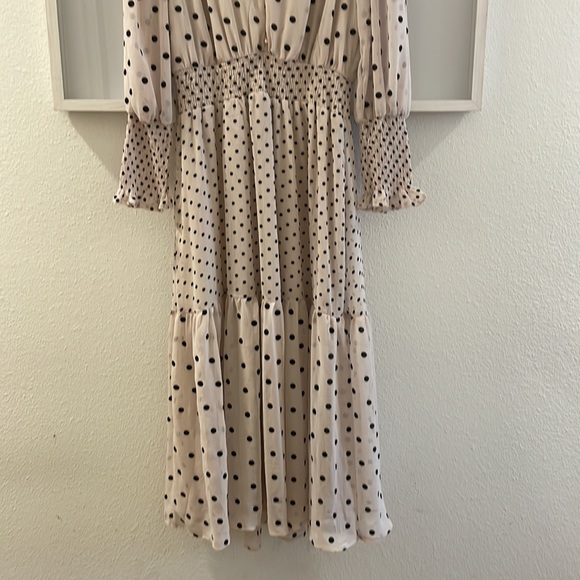 🪞🏞 sheer By the river poka dot dress🪞 - Picture 3 of 10